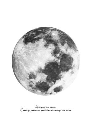 Aim For The Moon 21x30