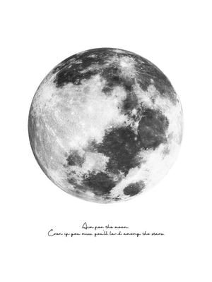Aim For The Moon 30x40