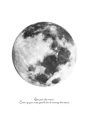 Aim For The Moon 50x70