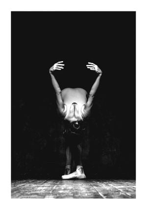 Applause 70x100