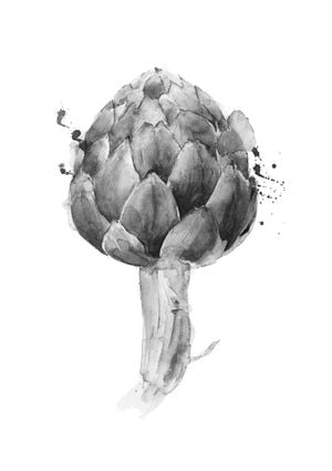Artichoke Drawing 21x30