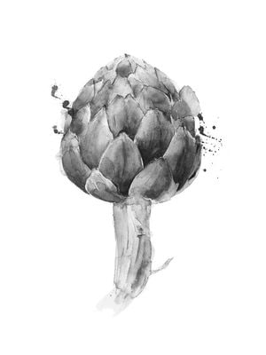 Artichoke Drawing 30x40