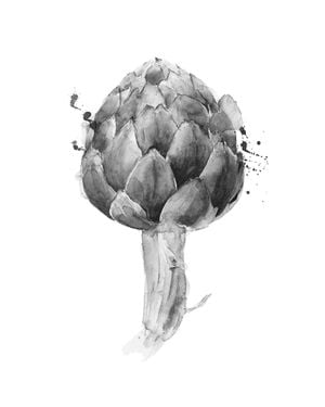 Artichoke Drawing 40x50