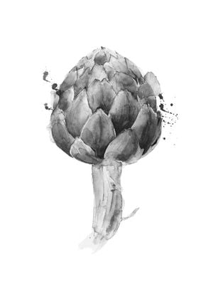 Artichoke Drawing
