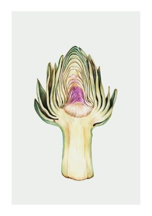 Artichoke In Watercolor 21x30
