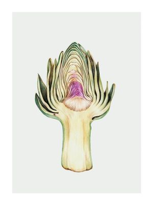 Artichoke In Watercolor 30x40
