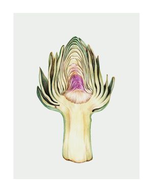 Artichoke In Watercolor 40x50