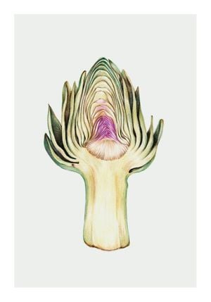 Artichoke In Watercolor 70x100