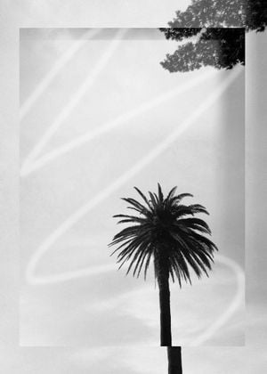 Artsy Palm