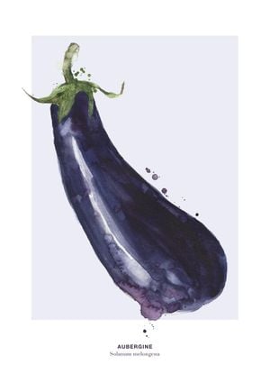 Aubergine 21x30