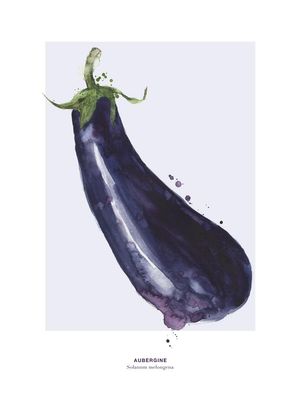 Aubergine 30x40
