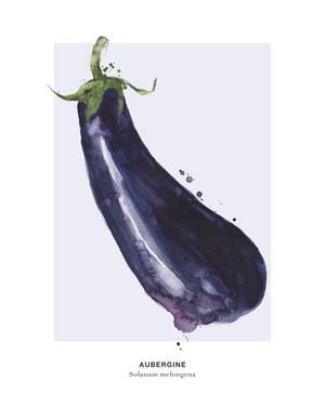 Aubergine 40x50