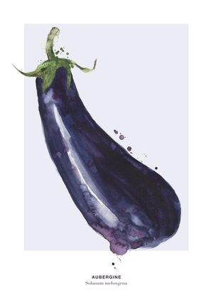 Aubergine 70x100