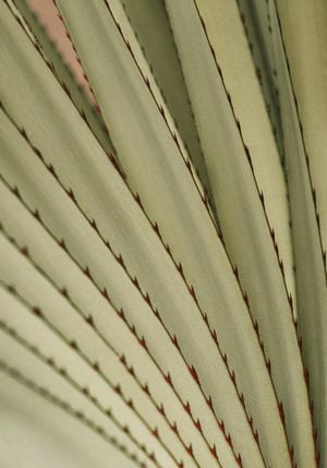 Autumn Palm 3 70x100