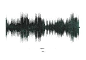 Avicii   Levels 100x70