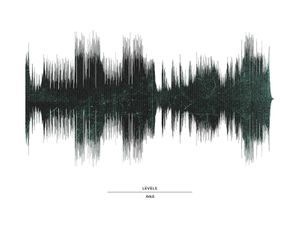 Avicii   Levels 40x30