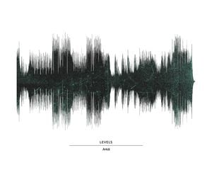 Avicii   Levels 50x40