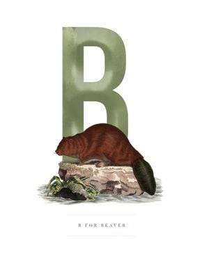B For Beaver 40x50
