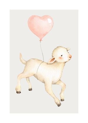 Baby Sheep