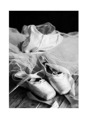 Ballerina Slippers 30x40