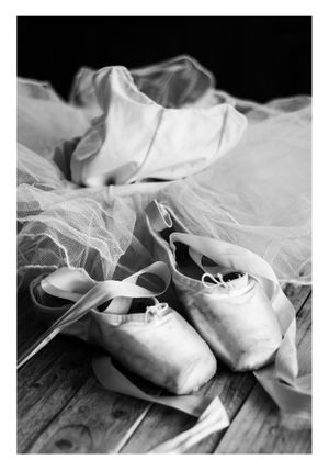 Ballerina Slippers 70x100