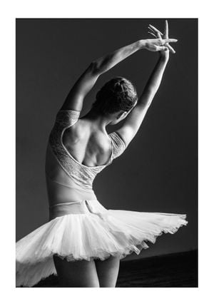 Ballet Pose 70x100