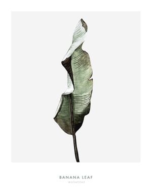 Banana Leaf One 40x50