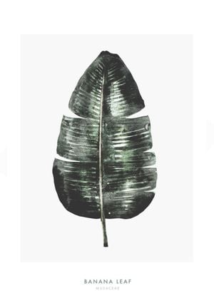 Banana Leaf Two 21x30