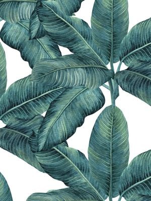 Banana Pattern 30x40