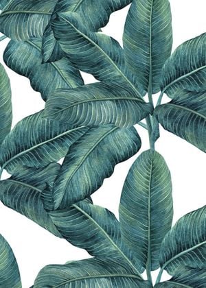 Banana Pattern
