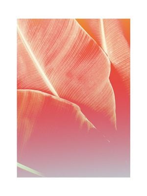 Banana Shades 30x40