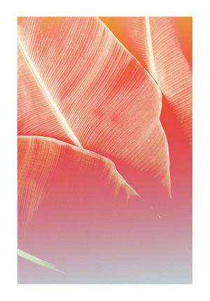 Banana Shades 70x100