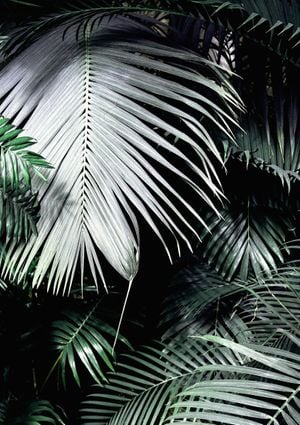 Big Palm Leaves 21x30