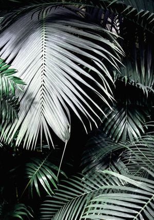 Big Palm Leaves 70x100