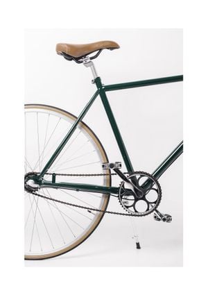 Bike Snapshot 21x30