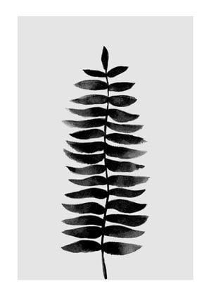 Black And White Fern 50x70