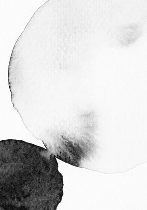 Black And White Watercolor 70x100