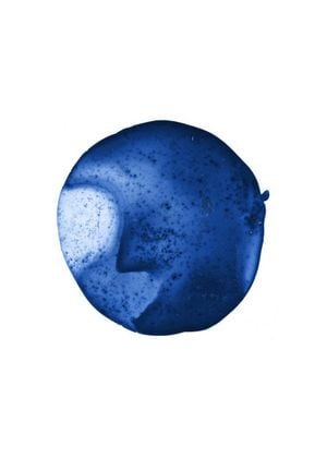 Blue Beetroot 50x70