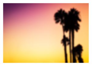 Blurry Palms