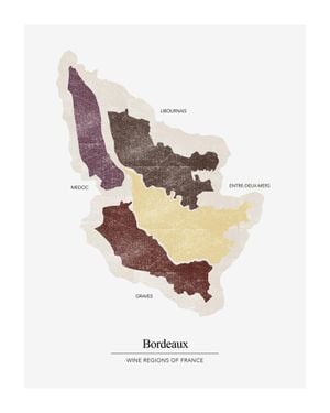 Bordeaux Region 40x50