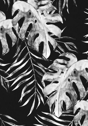 Botanical Night 21x30