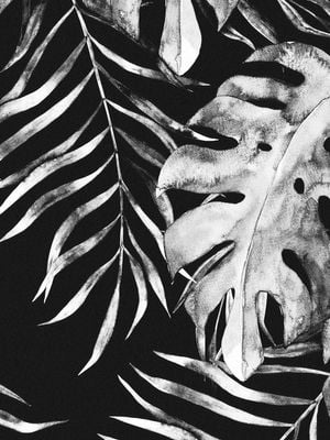 Botanical Night 30x40