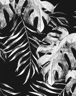 Botanical Night 40x50