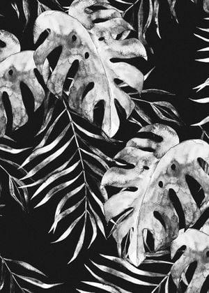 Botanical Night 50x70