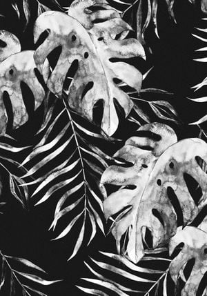 Botanical Night 70x100