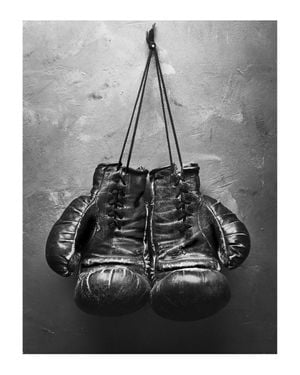 Boxing Gloves 40x50