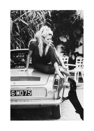 Brigitte Bardot