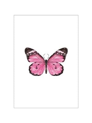 Butterfly 30x40