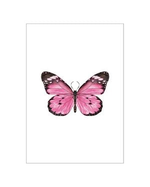 Butterfly 40x50