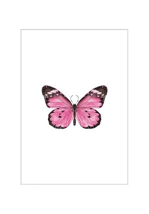 Butterfly 70x100